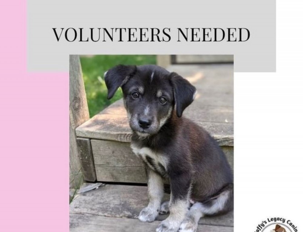 VOLUNTEERS NEEDED FOR LOCAL RESCUE.