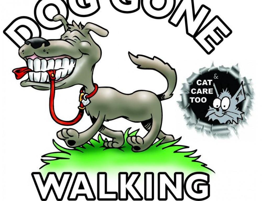 Summer Pet Tips from Your Trusted Dog Walker and Cat Sitter in Kitchener-Waterloo